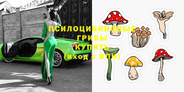 спайс Белокуриха
