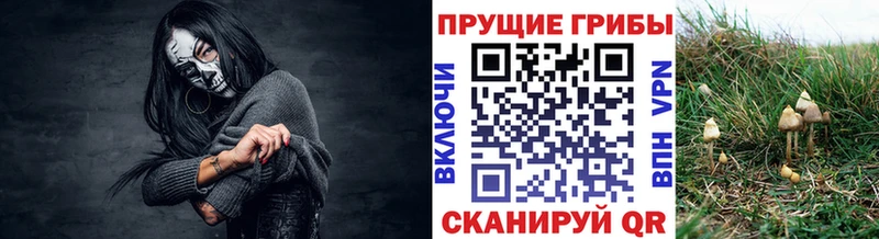 Псилоцибиновые грибы мицелий Шали
