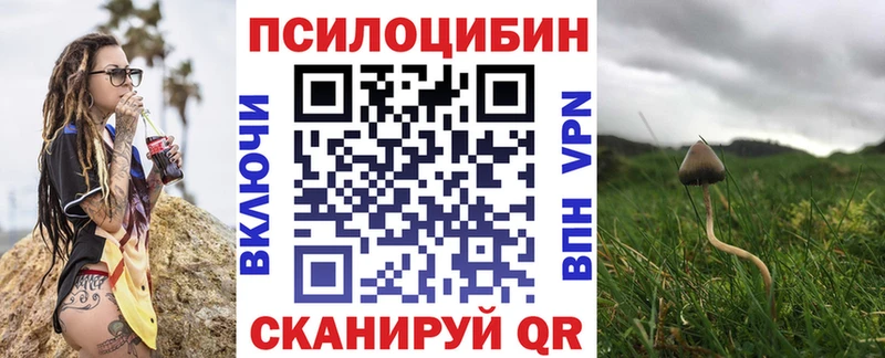 мега рабочий сайт  Шали  Псилоцибиновые грибы GOLDEN TEACHER  наркошоп 